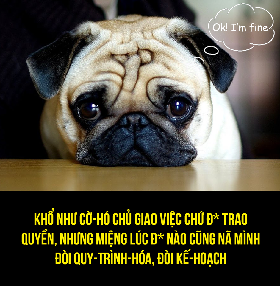 Cách Đập Phát Chết Marketer