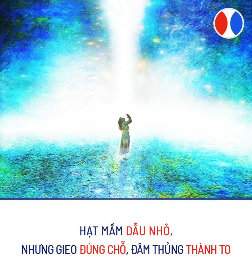 Tư Duy Đứng Giữa Mọi Ranh Giới: Social Seeding - Đ**** Cần Digital Vẫn Sống Tốt